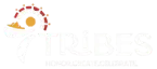 7 Tribes Logo